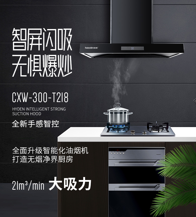 20220331/6245519392fb2.jpg 煙機(jī)--T218_01.jpg