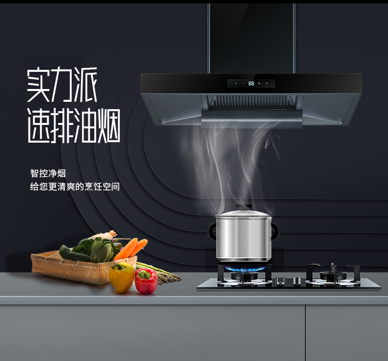 20220331/624551a1d9d1c.jpg 煙機(jī)--T218_04.jpg